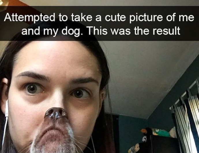 Funny Dog Snaps for Your Good Mood