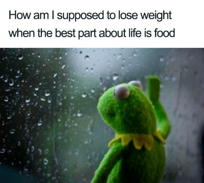Some of the Funniest Weight Loss and Diet Memes