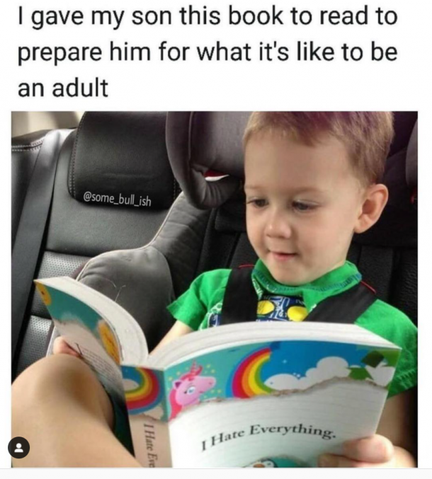 Funny Memes About Being an Adult