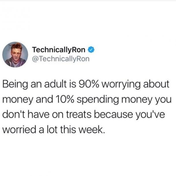 Funny Memes About Being an Adult