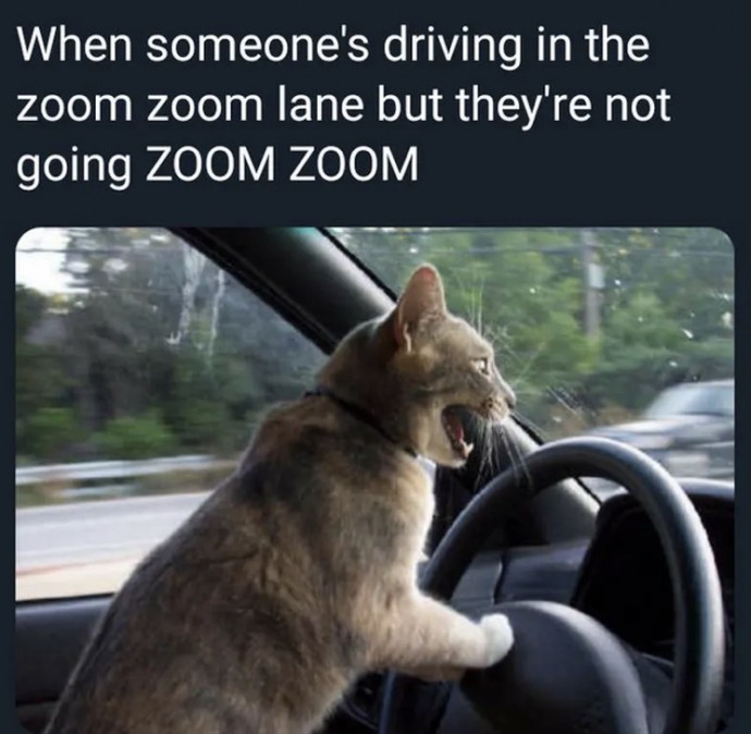 Funny Memes for Everyone Who Drives a Car