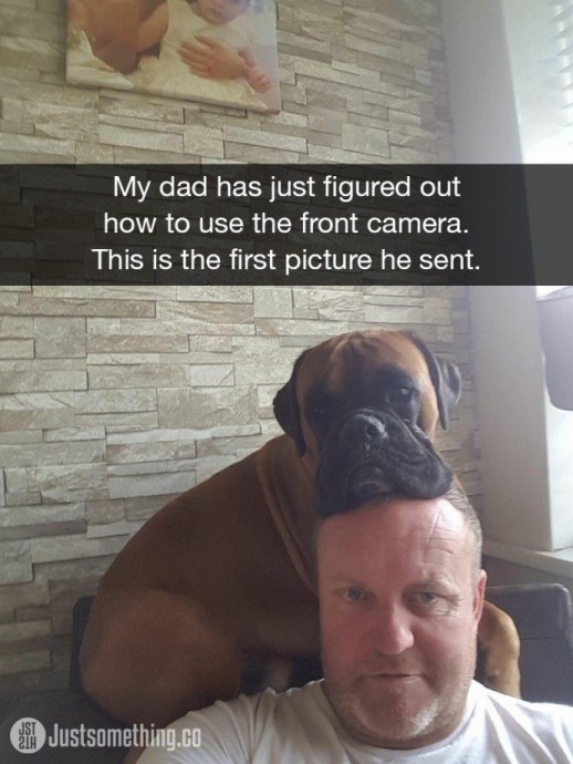 Hilarious dogs pictures