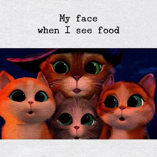 Funny Memes Related to Food