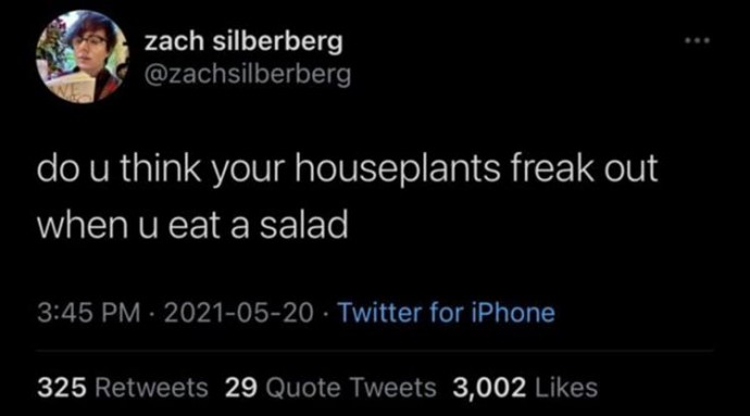 Funny Tweets to Give You a Little Food for Thought