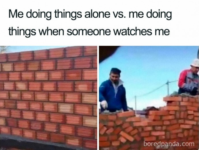 Relatable and Funny Memes to Distract You From the Routine