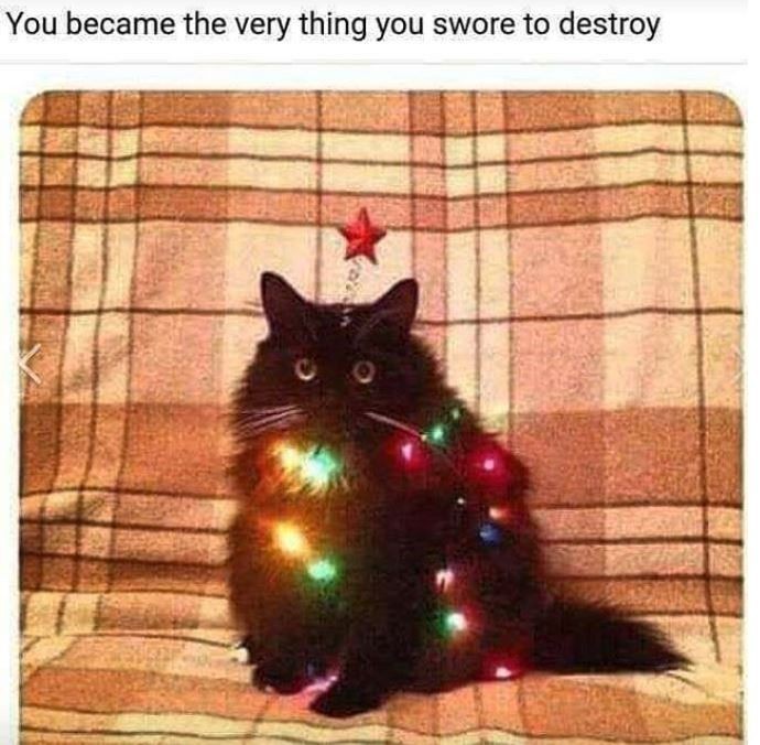 Awesome Christmas memes to feel the holiday atmosphere