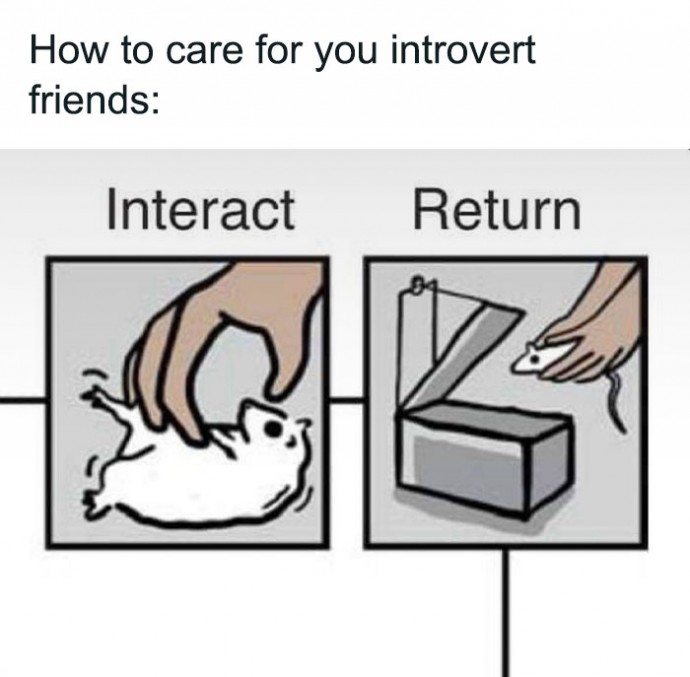 Memes That Reflect the Quirks of Being Introverted