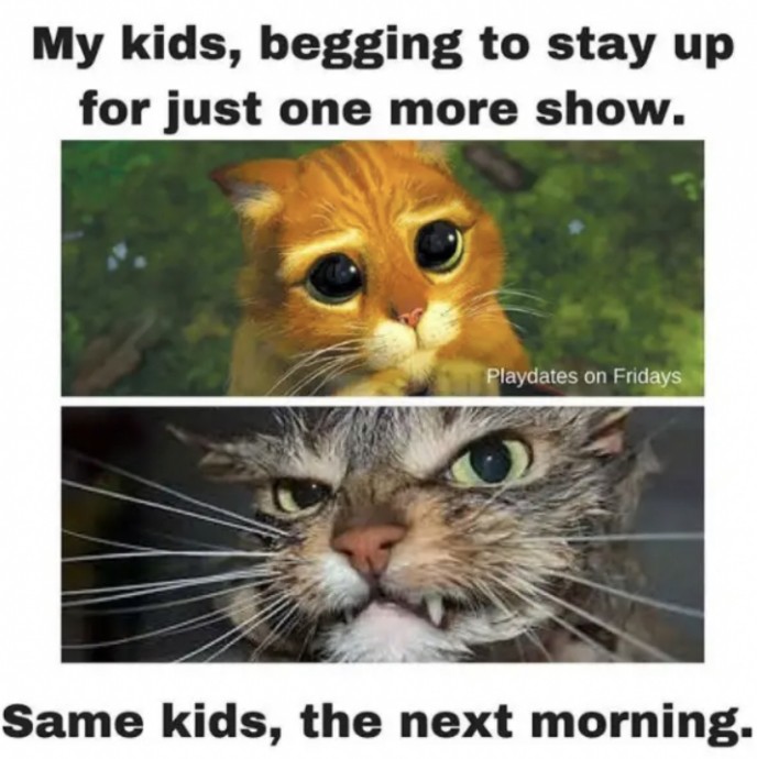 Parenting Memes That Will Keep You Laughing for Hours