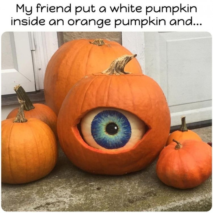 Funny Pumpkin Memes Special for You