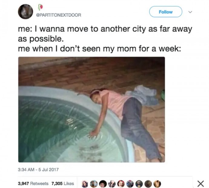 Funny Mom Memes for a Good Day