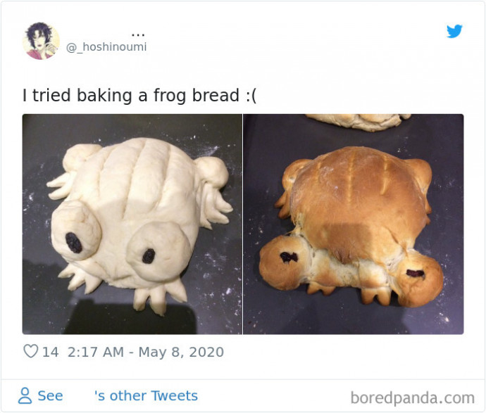 Some Posts Where People Share Their Attempts at Baking Frog Bread