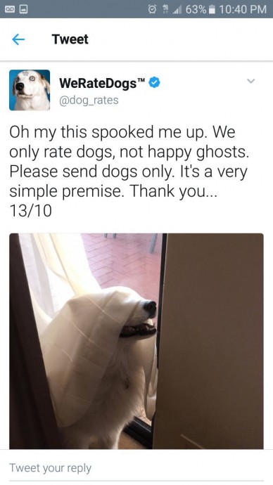 Some really funny tweets from WeRateDogs