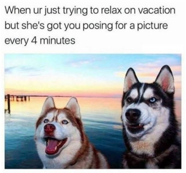 Funny Vacation Pics for a Good Day