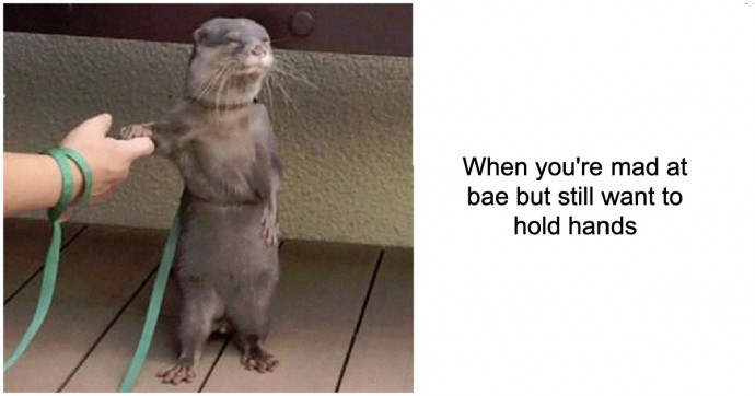 Funny Pics You Should Probably Send to Your Significant Other Right Now