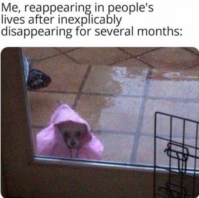 Extremely Relatable Introvert Memes That Speak the Truth