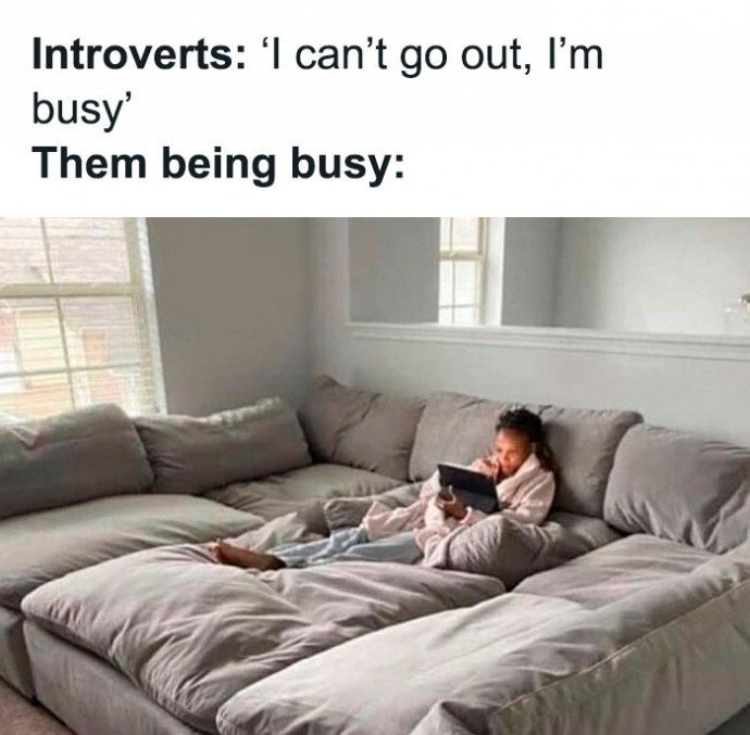 Memes That Reflect the Quirks of Being Introverted