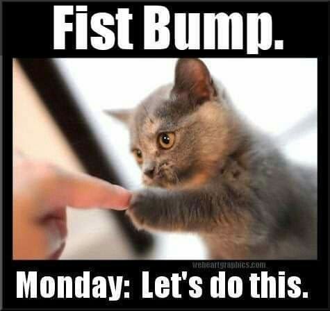 Monday is here!