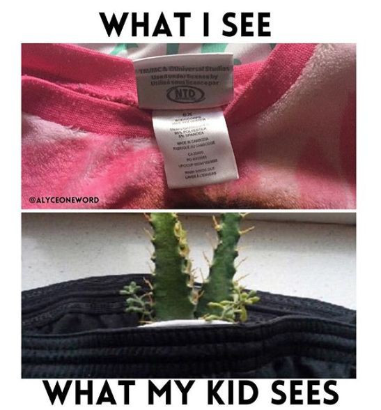 Amusing Parenting Memes Just for Your Fun