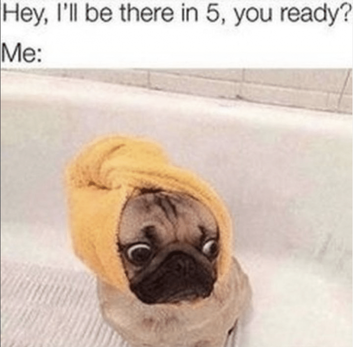 Funny Dog Memes to Enjoy While You Procrastinate From Work