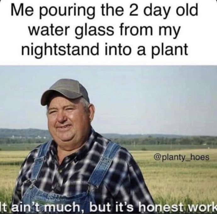 Relatable Memes for All the Plant Lovers