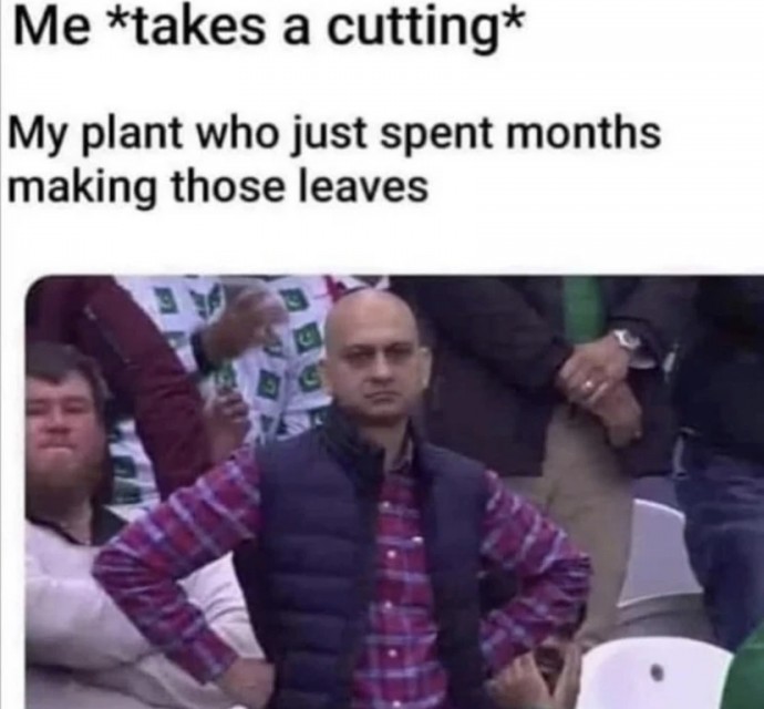 Relatable Memes for All the Plant Lovers