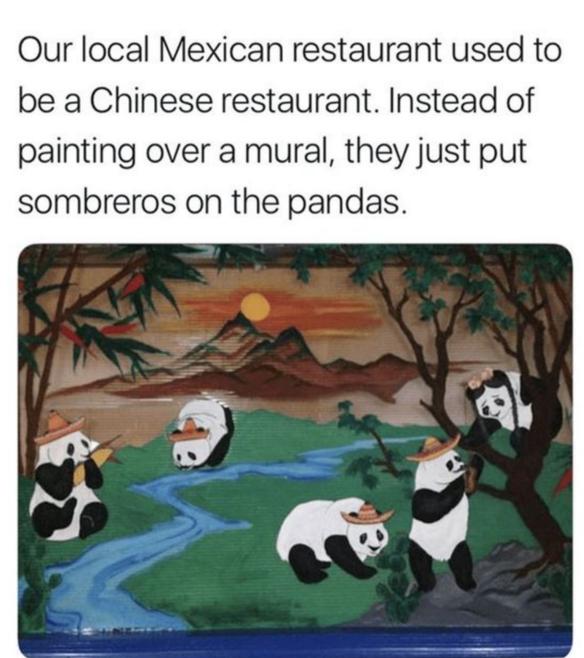 Have a Nice Day with These Funny Pics! — Funny Pictures