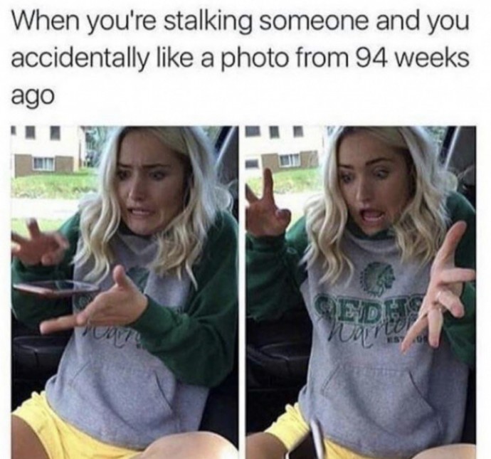 Relatable and Funny Pics to Take a Break With