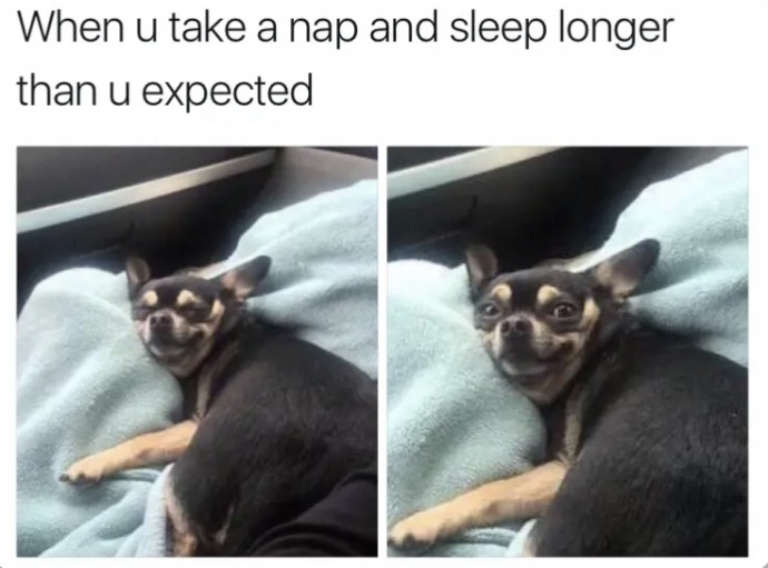 Memes for Those Who Love Sleeping to Look at Before Taking a Nap