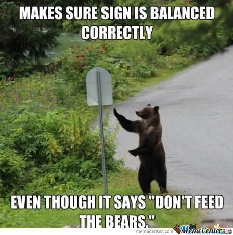 Some funny bears