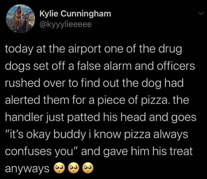 Funny Tweets for Your Day