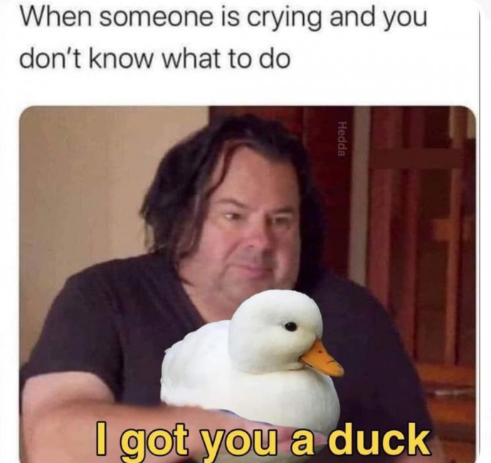 Spot on Relatable Pics You Need to See Right Now