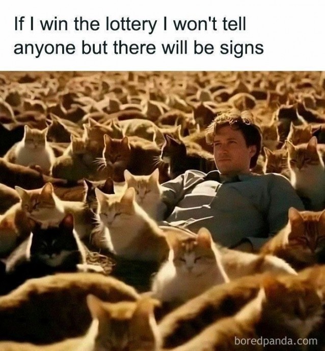 Perfect Cat Memes to Fulfill the Plan for This Friday