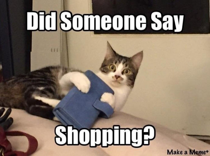 Funny Pics for Shopping Fans