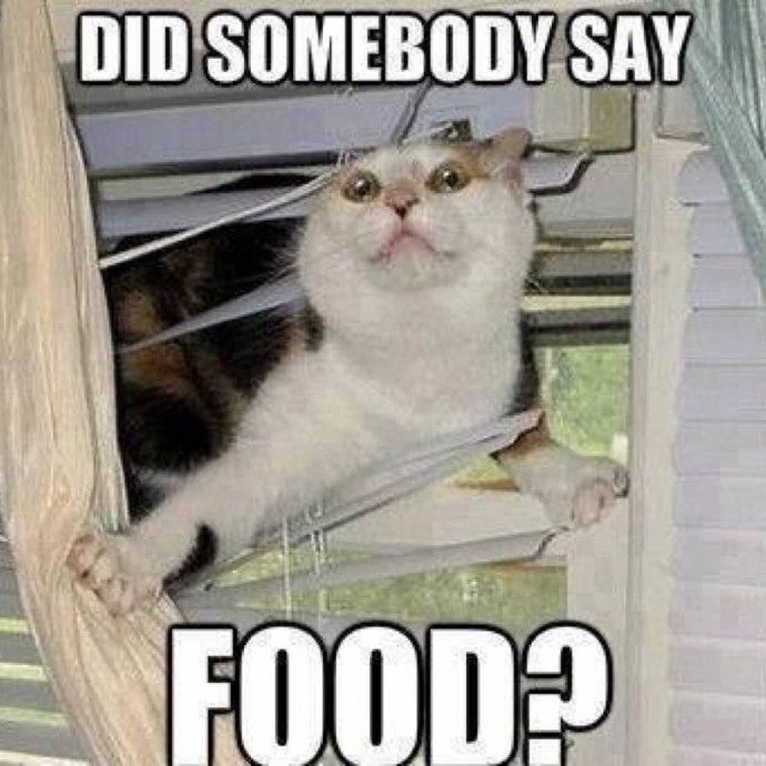 Funny Memes for Anyone Who is Always Hungry