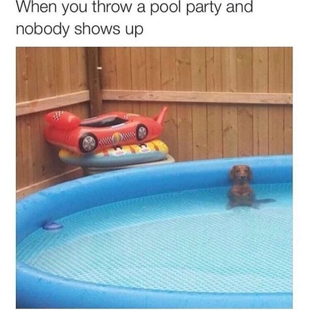Summer Pool Memes