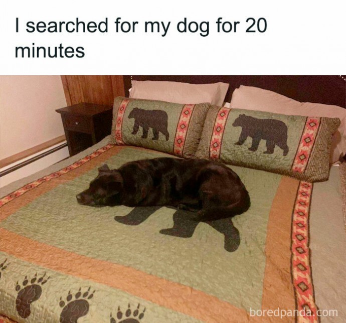 Rise and Shine With the Funniest Pics of the Week