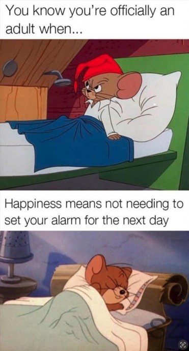 Funny Tom and Jerry Memes for Your Weekend