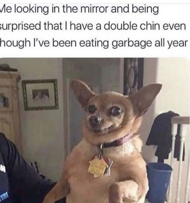 Funny Memes With a Bit of Truth in Them