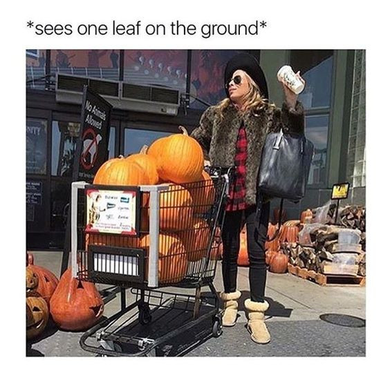 Funny Memes for Anyone Who’s Ready for Fall