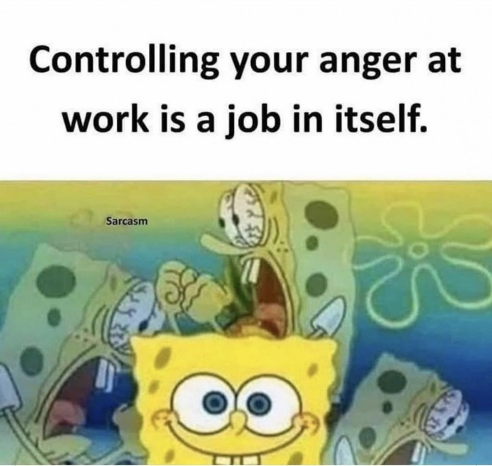 Extra Funny Memes for a Great Thursday