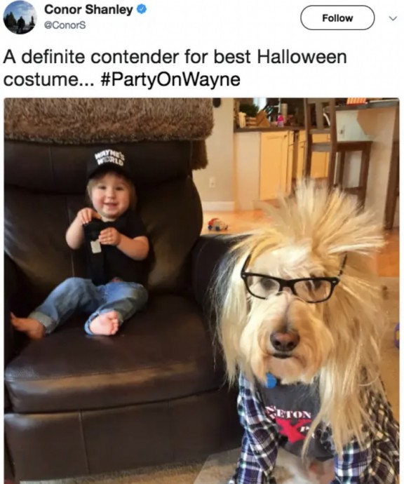 Halloween Costumes Pics for Your Better Mood