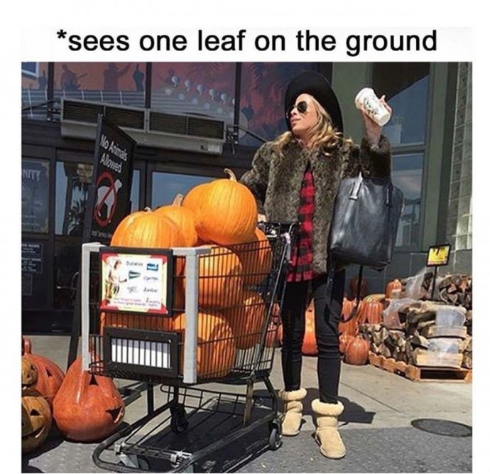 Some fun for fall lovers