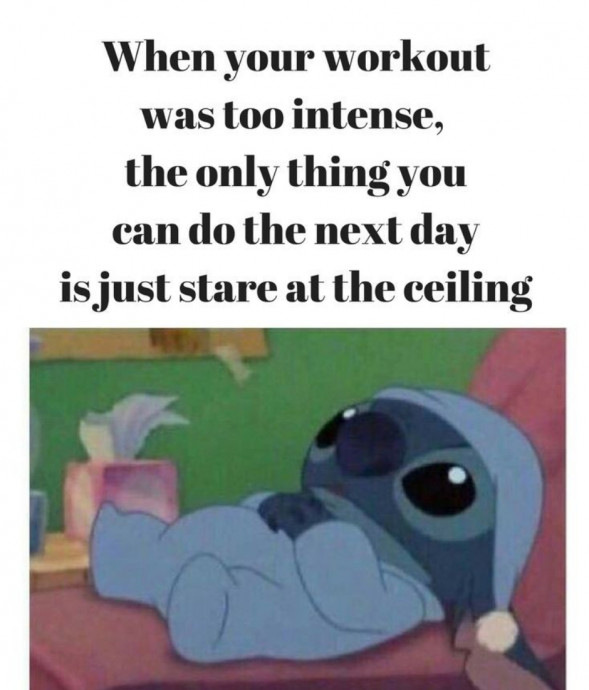 Funny Memes About Going to the Gym
