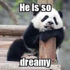 Incredibly Funny Panda Memes for Your Sunday