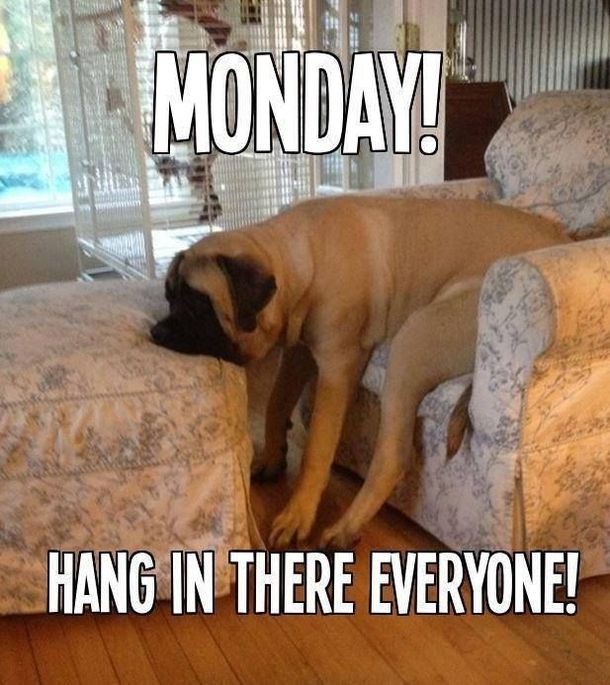 It's Monday again!