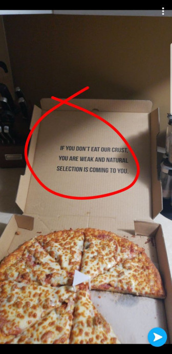 Funny Pics for Pizza Lovers