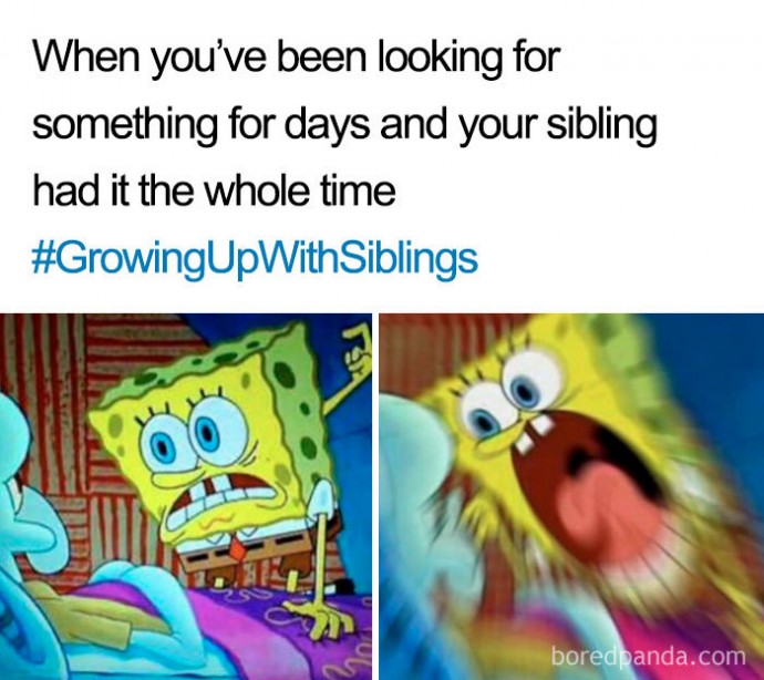 A Dump of the Best Sibling Memes Ever