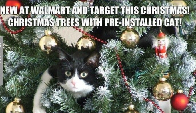 Memes to make your holiday funnier