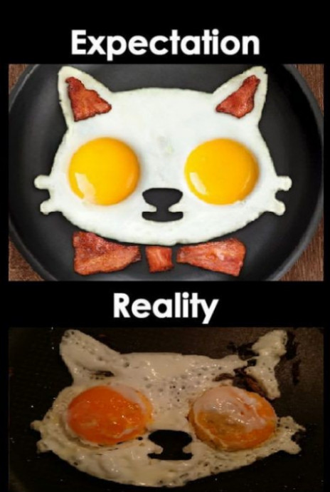 Expectation Vs Reality Cooking Pics That are Really Funny