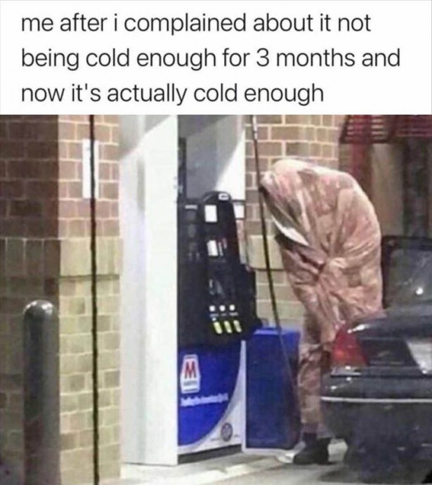 Winter Memes for Y’all